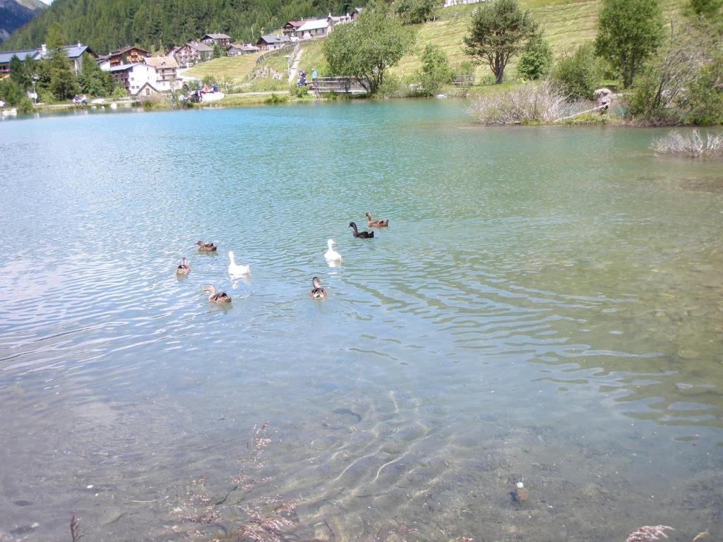 Residence Flora Solda Dış mekan fotoğraf